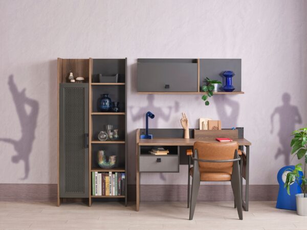 action-book-shelf Action Bookcase