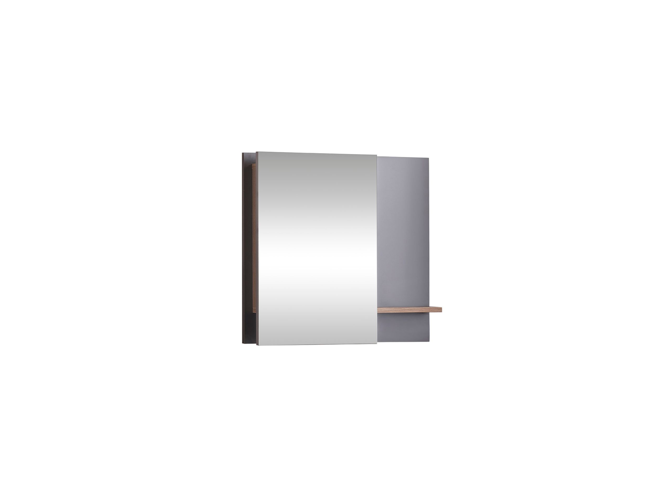 action-mirror Action Mirror