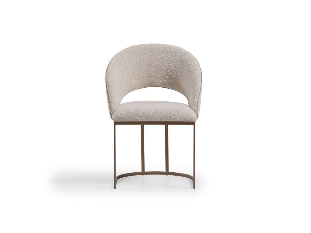 chair-lyon
