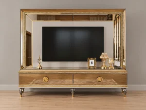 Aisha TV unit, full front view