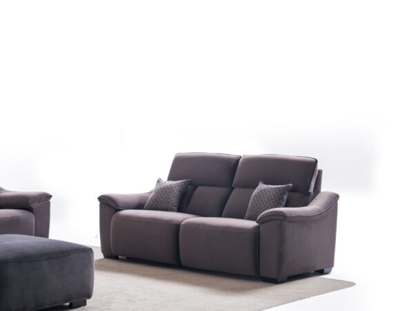 pristine-sofa-2-seater pristine 2-seater sofa