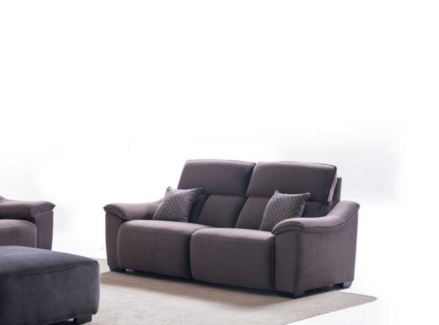 pristine-sofa-2-seater pristine 2-seater sofa
